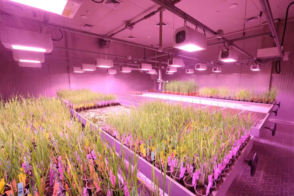 切割泵与潜水排污泵技术对比：适用场景与性能优势分析
