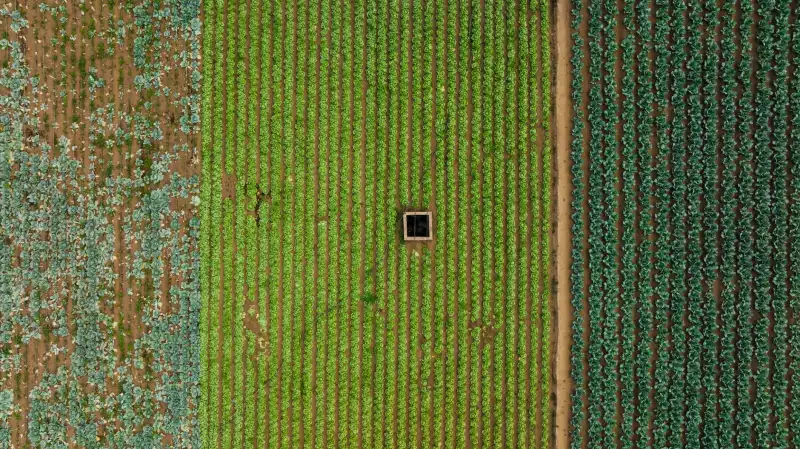 切割泵在市政污水管网堵塞处理中的应用案例